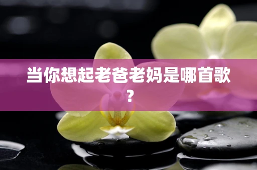 当你想起老爸老妈是哪首歌？