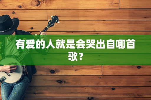 有爱的人就是会哭出自哪首歌？