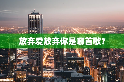 放弃爱放弃你是哪首歌？