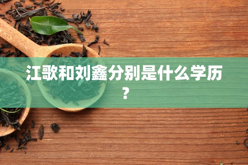 江歌和刘鑫分别是什么学历？