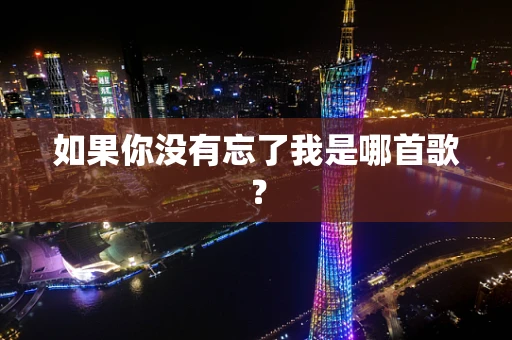 如果你没有忘了我是哪首歌？