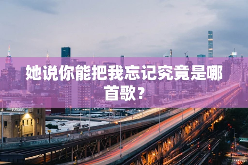 她说你能把我忘记究竟是哪首歌？