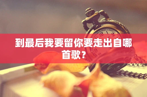 到最后我要留你要走出自哪首歌？