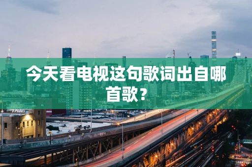 今天看电视这句歌词出自哪首歌？