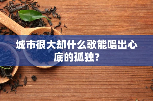 城市很大却什么歌能唱出心底的孤独？