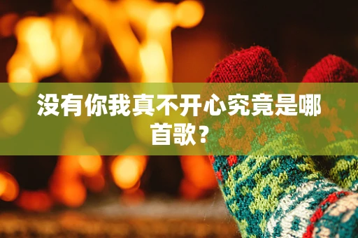 没有你我真不开心究竟是哪首歌？