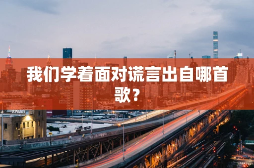 我们学着面对谎言出自哪首歌？