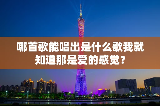 哪首歌能唱出是什么歌我就知道那是爱的感觉？