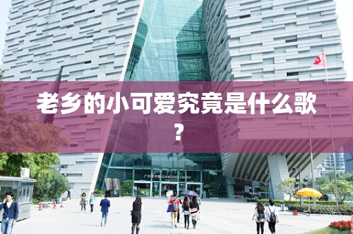 老乡的小可爱究竟是什么歌？