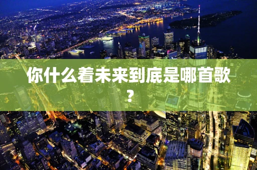 你什么着未来到底是哪首歌？