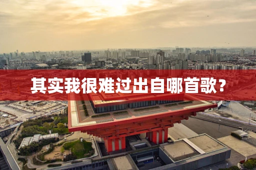 其实我很难过出自哪首歌？