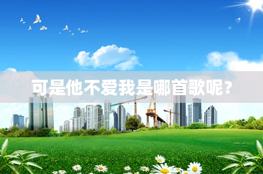 可是他不爱我是哪首歌呢？