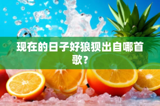 现在的日子好狼狈出自哪首歌？
