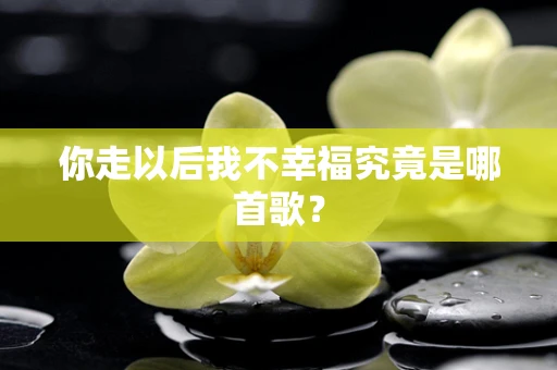 你走以后我不幸福究竟是哪首歌？
