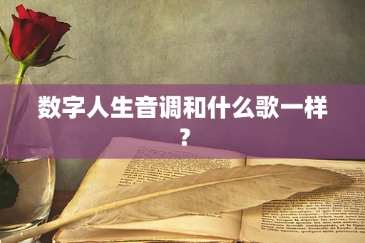 数字人生音调和什么歌一样？