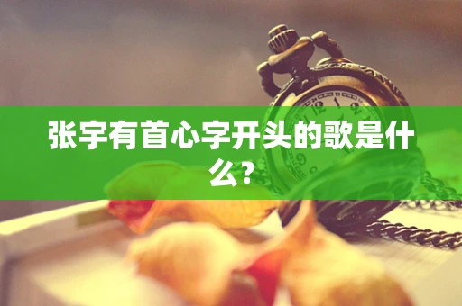 张宇有首心字开头的歌是什么？