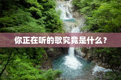 你正在听的歌究竟是什么？