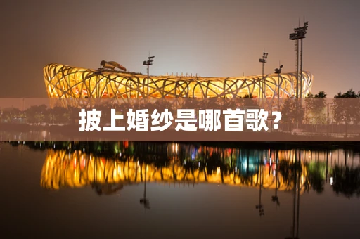 披上婚纱是哪首歌？