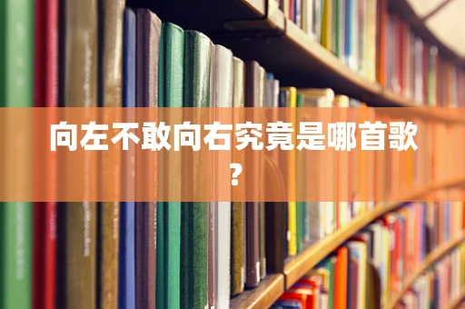 向左不敢向右究竟是哪首歌？