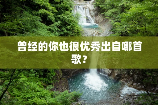 曾经的你也很优秀出自哪首歌？