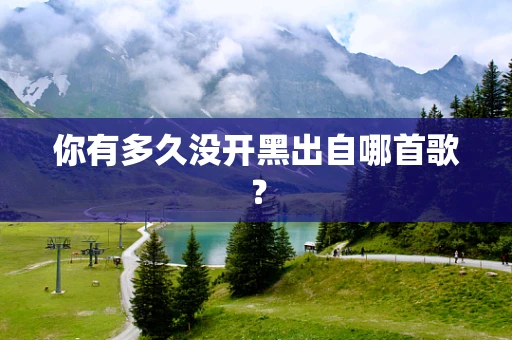 你有多久没开黑出自哪首歌？