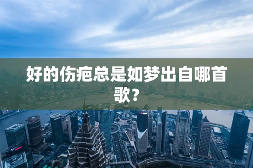 好的伤疤总是如梦出自哪首歌？
