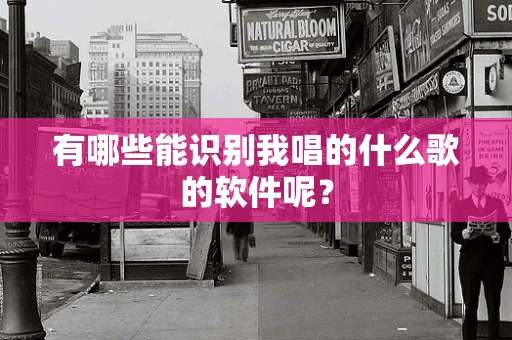 有哪些能识别我唱的什么歌的软件呢？