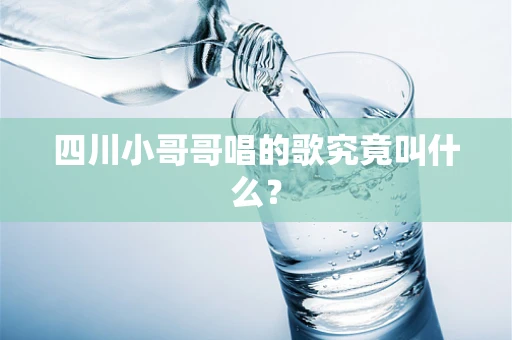 四川小哥哥唱的歌究竟叫什么？