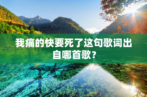 我痛的快要死了这句歌词出自哪首歌？