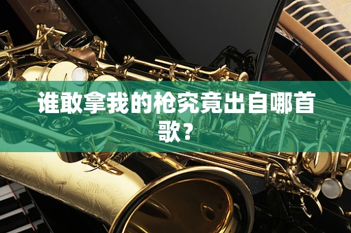 谁敢拿我的枪究竟出自哪首歌？