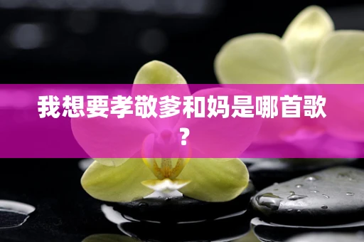 我想要孝敬爹和妈是哪首歌？
