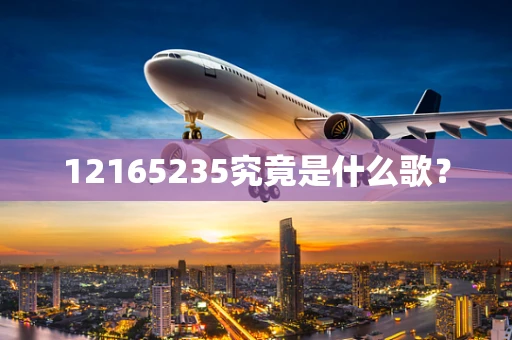 12165235究竟是什么歌？