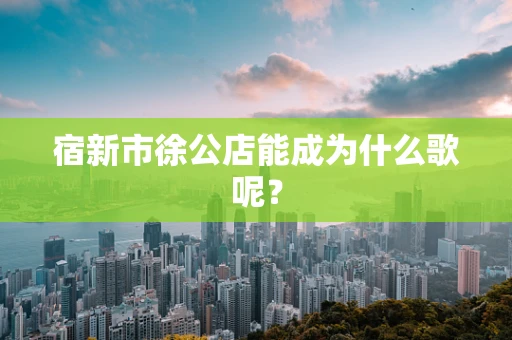 宿新市徐公店能成为什么歌呢？