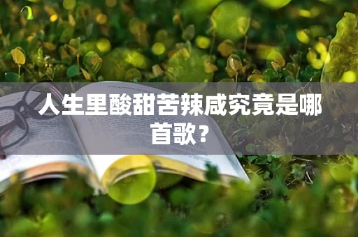 人生里酸甜苦辣咸究竟是哪首歌？