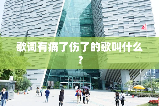 歌词有痛了伤了的歌叫什么？