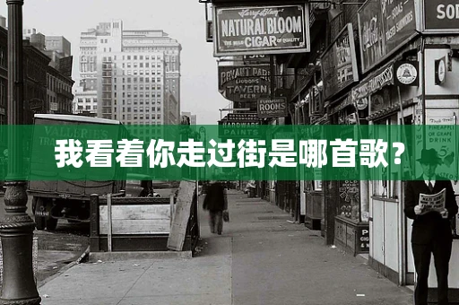 我看着你走过街是哪首歌？