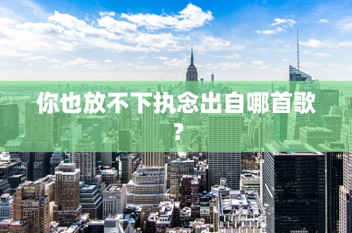 你也放不下执念出自哪首歌？