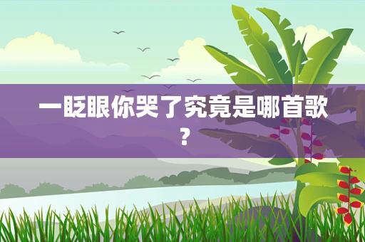一眨眼你哭了究竟是哪首歌？