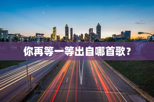 你再等一等出自哪首歌？