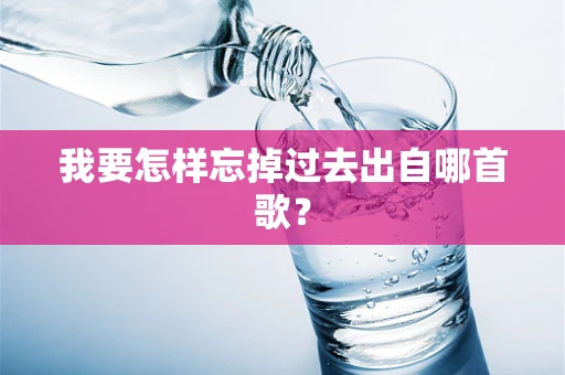 我要怎样忘掉过去出自哪首歌？