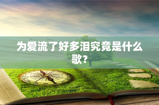 为爱流了好多泪究竟是什么歌？
