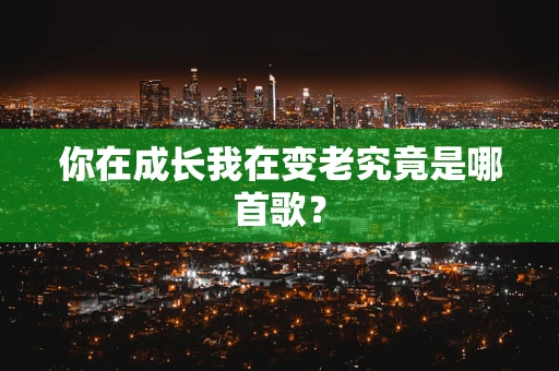 你在成长我在变老究竟是哪首歌？