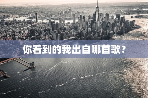 你看到的我出自哪首歌？