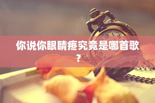 你说你眼睛疼究竟是哪首歌？