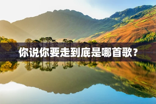 你说你要走到底是哪首歌？
