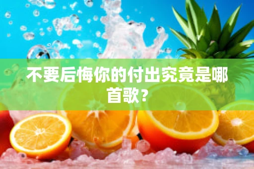 不要后悔你的付出究竟是哪首歌？