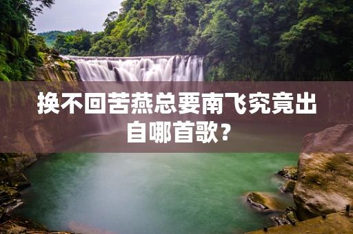 换不回苦燕总要南飞究竟出自哪首歌？