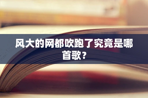 风大的网都吹跑了究竟是哪首歌？