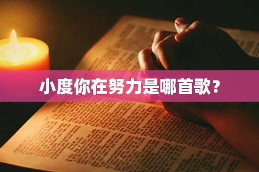 小度你在努力是哪首歌？