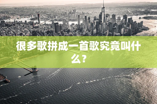 很多歌拼成一首歌究竟叫什么？